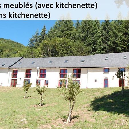 Condat  Gite Du Haut Cantal - Appartements Meubles Avec Kitchenette Et Chambres Sans Kitchenette المظهر الخارجي الصورة