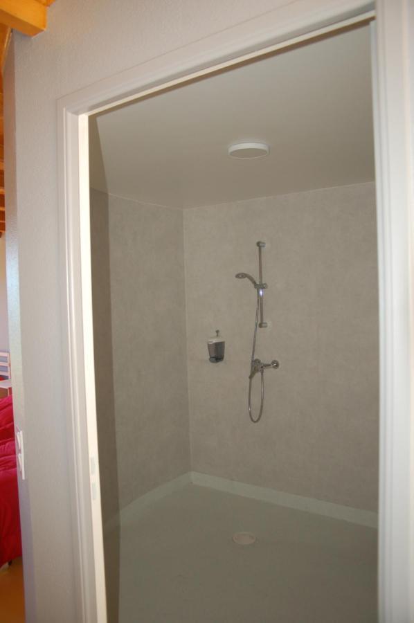Condat  Gite Du Haut Cantal - Appartements Meubles Avec Kitchenette Et Chambres Sans Kitchenette المظهر الخارجي الصورة