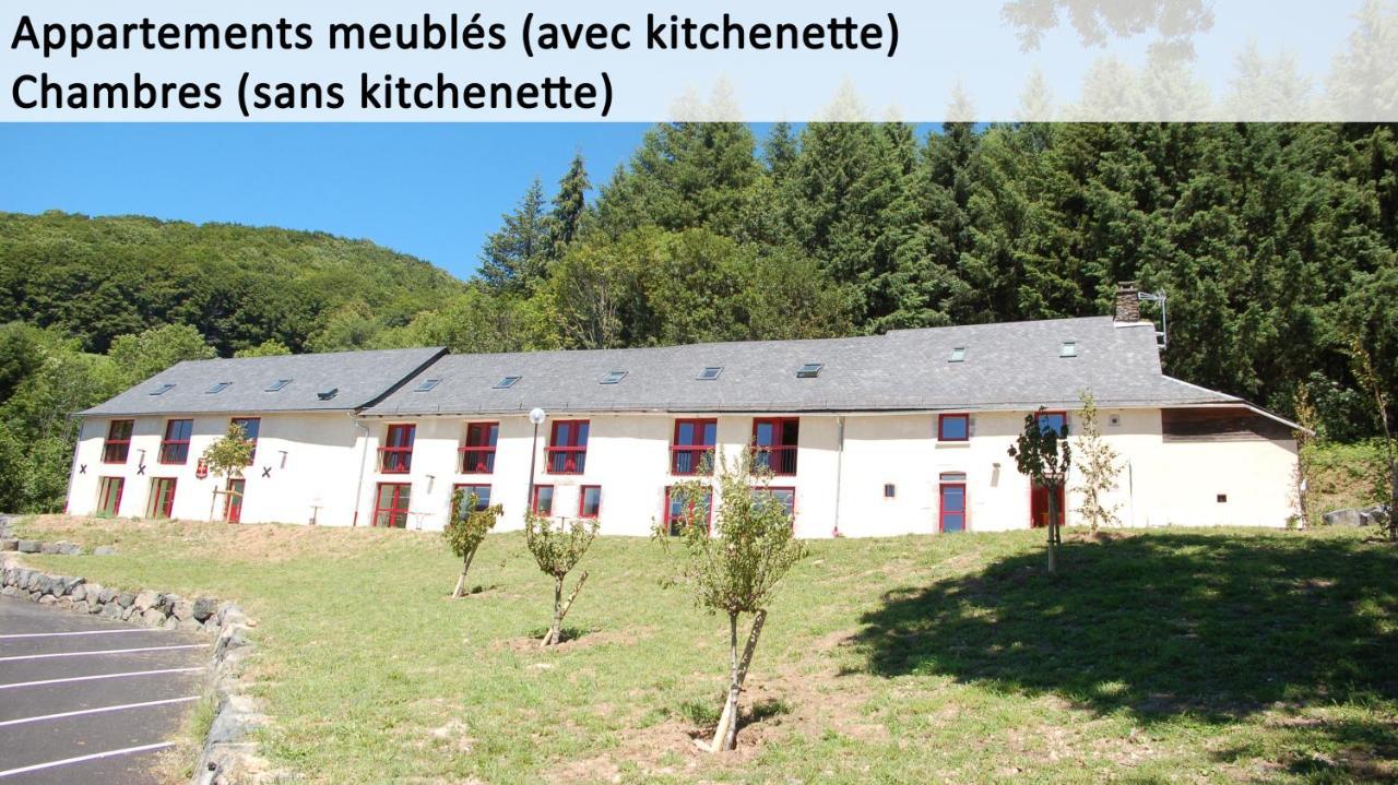 Condat  Gite Du Haut Cantal - Appartements Meubles Avec Kitchenette Et Chambres Sans Kitchenette المظهر الخارجي الصورة